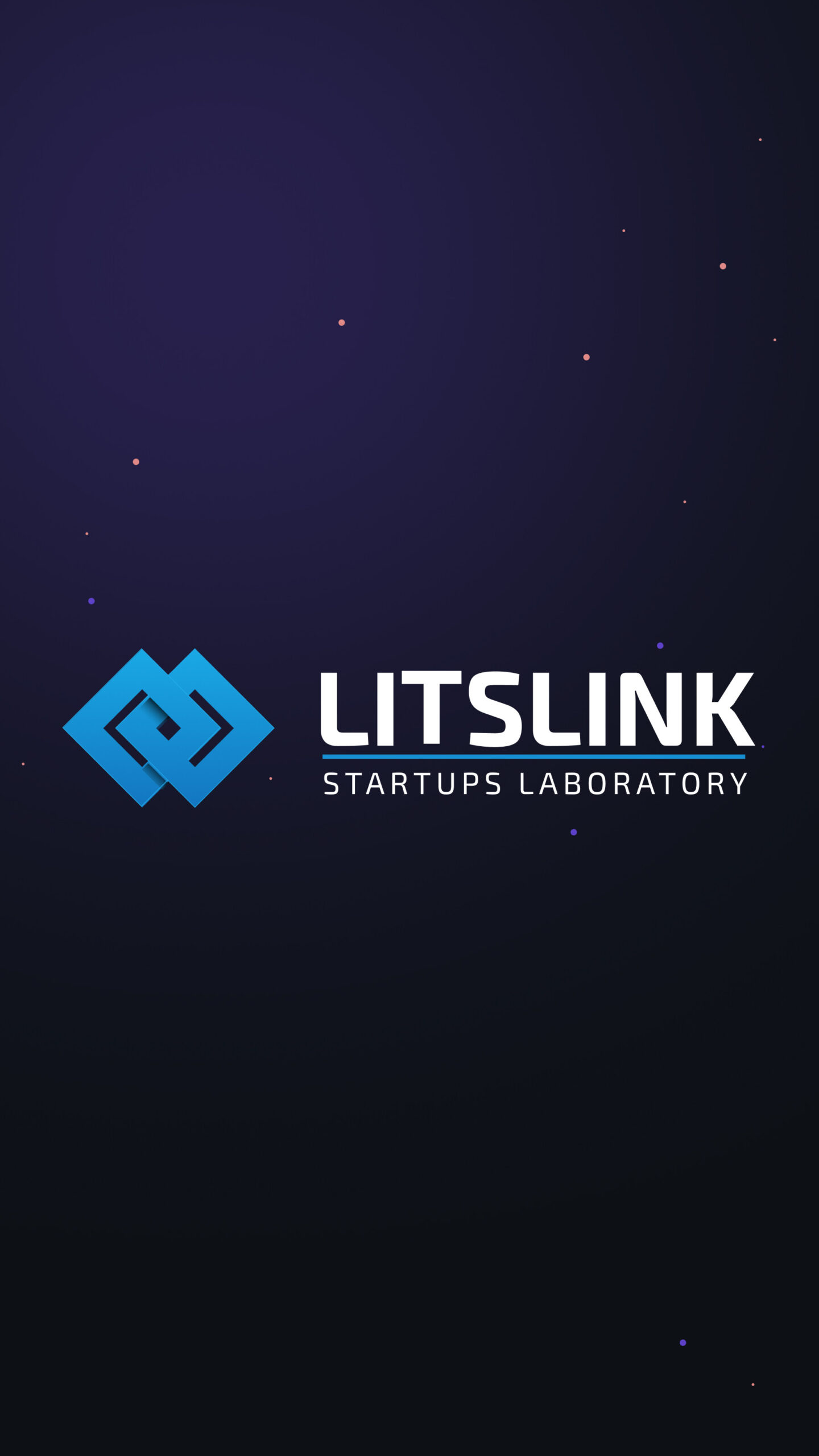 Litslink Software Development
